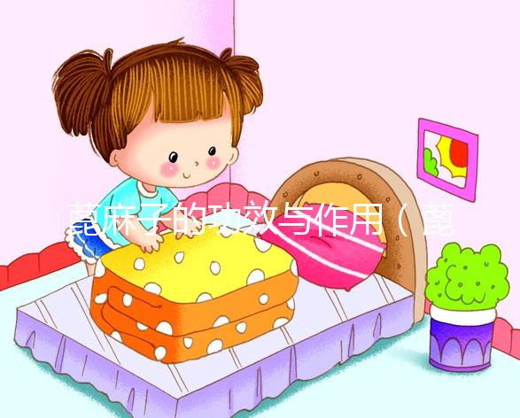 蓖麻子的功效與作用（蓖麻子的功效與作用圖片）