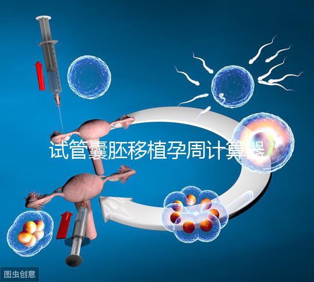 試管囊胚移植孕周計算器,試管嬰兒如何計算孕周和預產期