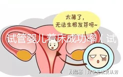 試管嬰兒著床成功率（試管嬰兒著床成功率高嗎）