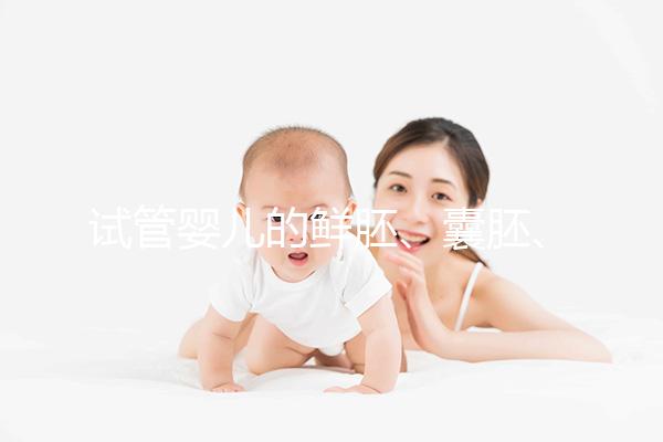 試管嬰兒的鮮胚、囊胚、凍胚,都有說明區別已經成功率