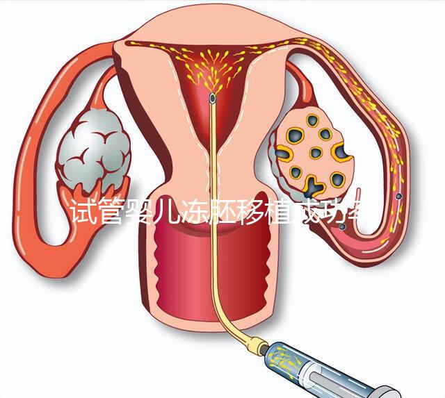試管嬰兒凍胚移植成功率更高?凍胚和鮮胚有何不同?