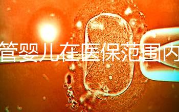 試管嬰兒在醫(yī)保范圍內（試管嬰兒在醫(yī)保范圍內能報銷嗎）