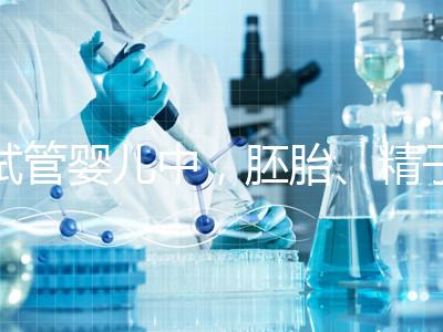 試管嬰兒中,胚胎、精子和卵子分別能冷凍多久?