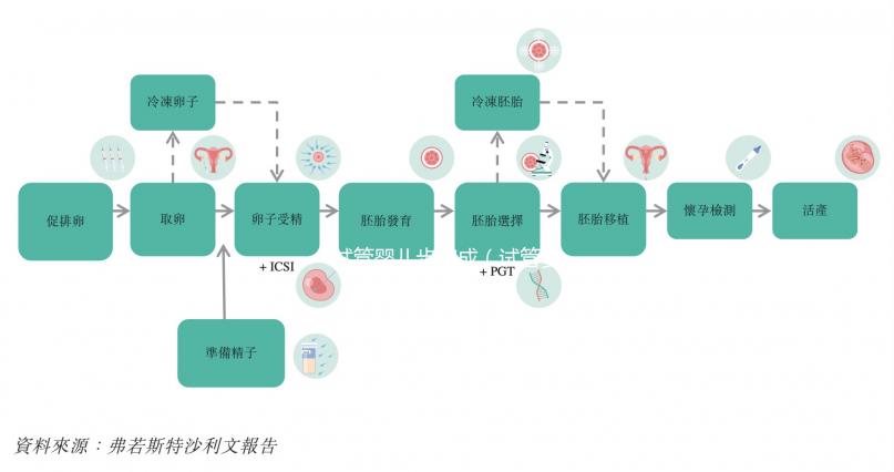 試管嬰兒步驟成（試管嬰兒步驟成功率）