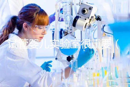 試管嬰兒實(shí)驗(yàn)室很重要（試管嬰兒不為人知的缺陷）
