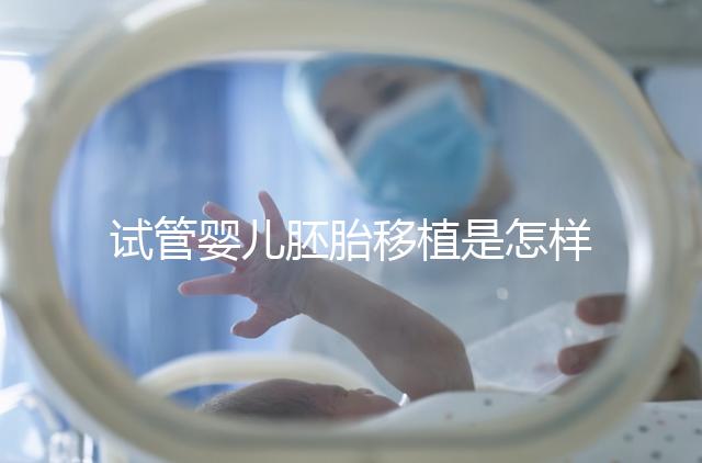 試管嬰兒胚胎移植是怎樣的過程?
