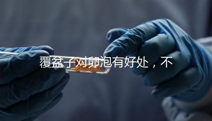 覆盆子對(duì)卵泡有好處,不要錯(cuò)過(guò)維持卵巢早衰,軟化宮頸