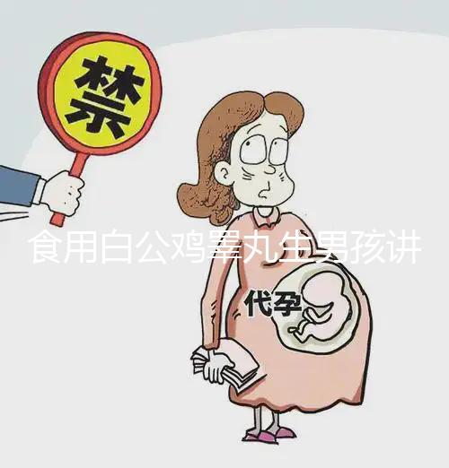 食用白公雞睪丸生男孩講方法，1分鐘說清楚具體怎么吃