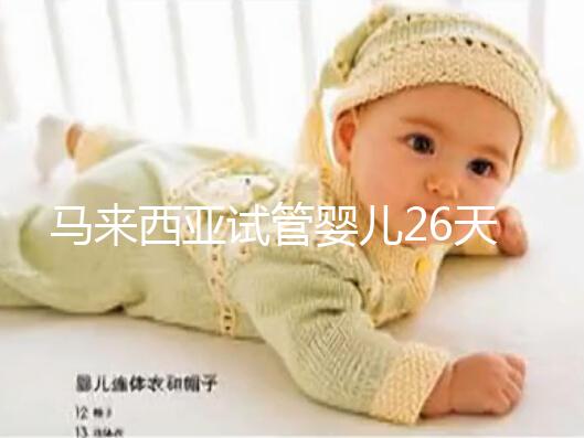 馬來西亞試管嬰兒26天行程全紀錄