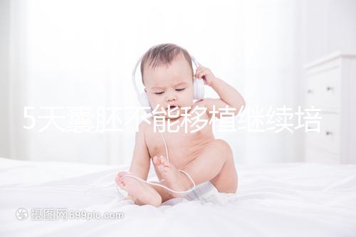 5天囊胚不能移植繼續(xù)培養(yǎng)?美國(guó)試管專家為您解析!