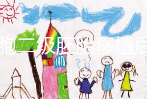 9細胞二級胚胎移植后8天沒感覺,成功率依然很高