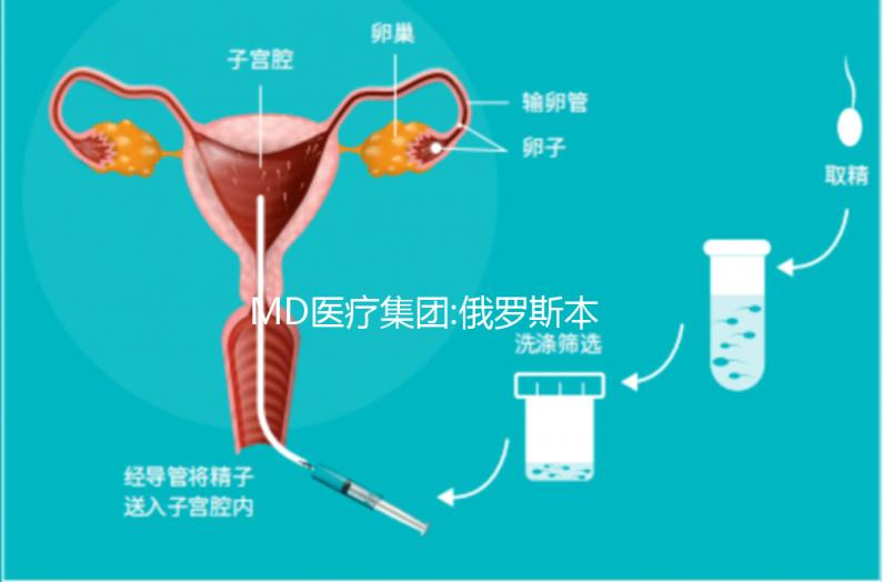 MD醫(yī)療集團:俄羅斯本土已上市的一家母嬰醫(yī)療機構(gòu)