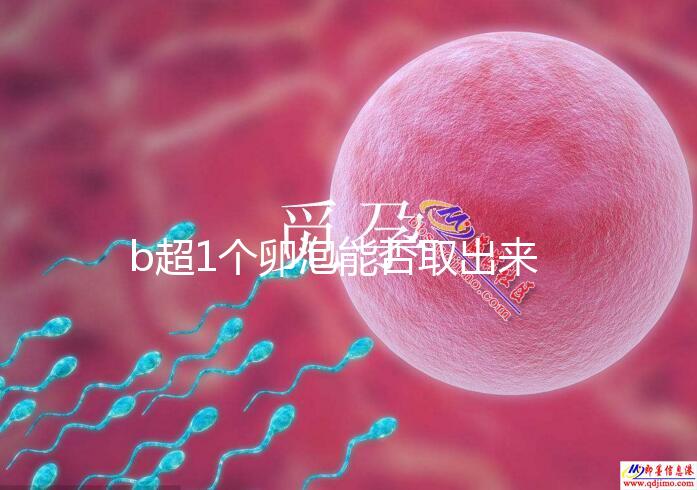 b超1個卵泡能否取出來分人，質量好或有一定受孕幾率
