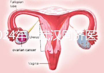 2024年，武漢同濟(jì)醫(yī)院不孕癥醫(yī)生排名公布，選擇專家迅速登記
